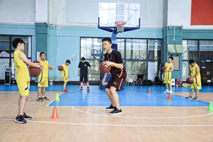  如何找到专业的篮球对抗训练教练：全面指南与策略分析